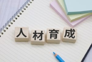 人材育成における正しい投資法